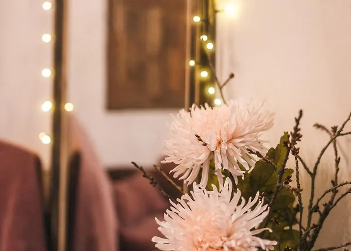 U Namesti - At The Town Square 게스트하우스 4*